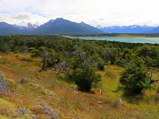 Estancia Nibepo Argentine